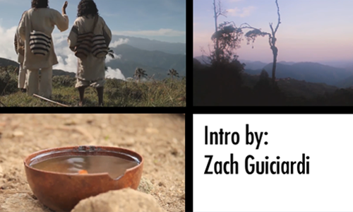 Kogi Kave: Parks and Rec